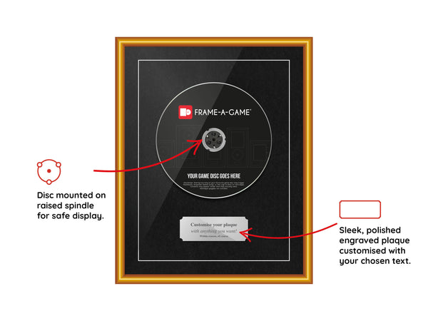 The "I Lost My Case" Range Aluminium Frame (for discs only) - Frame-A-Game