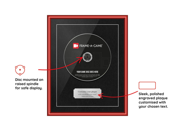 The "I Lost My Case" Range Aluminium Frame (for discs only) - Frame-A-Game