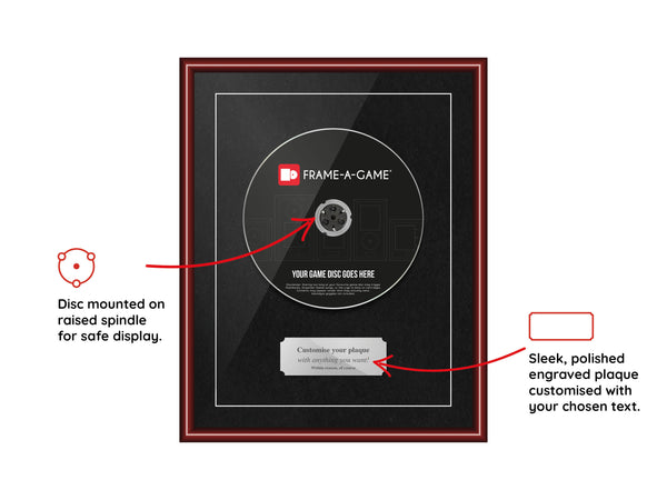 The "I Lost My Case" Range Aluminium Frame (for discs only) - Frame-A-Game