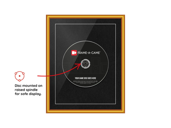 The "I Lost My Case" Range Aluminium Frame (for discs only) - Frame-A-Game