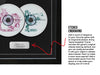Final Fantasy IX (PS1) Exhibition Range Framed Game - Frame-A-Game