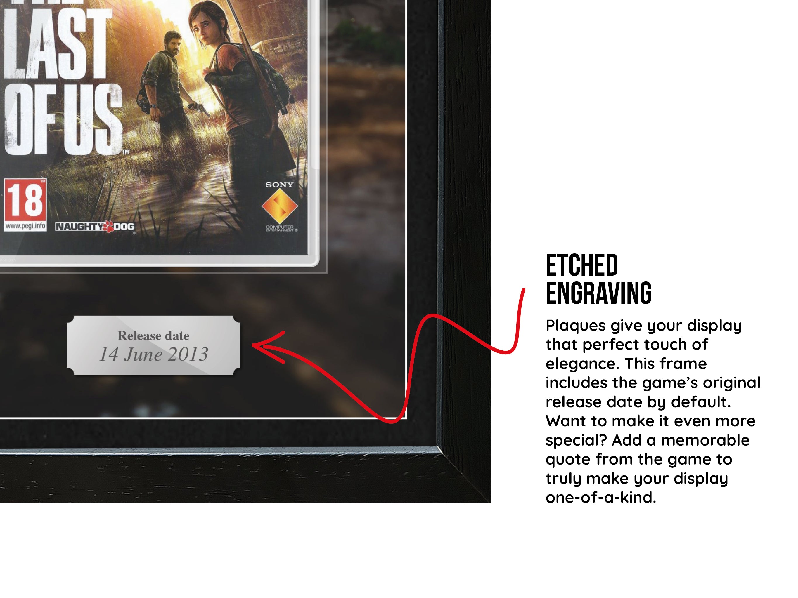 The Last of Us (PS3) Inspired By Exhibition Range Framed Game - Frame-A-Game