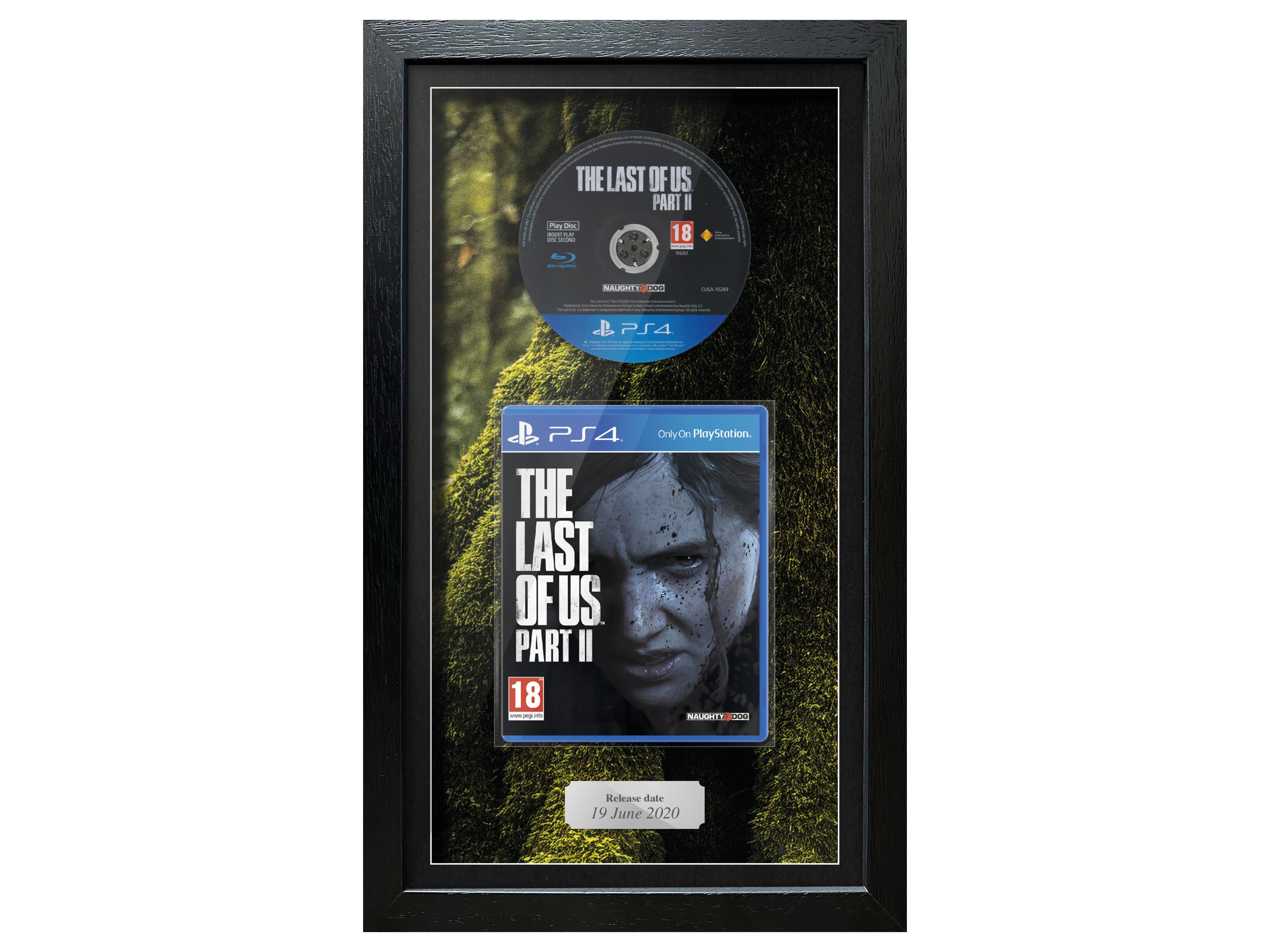 The Last of Us: Part II (PS4) Inspired By Exhibition Range Framed Game - Frame-A-Game