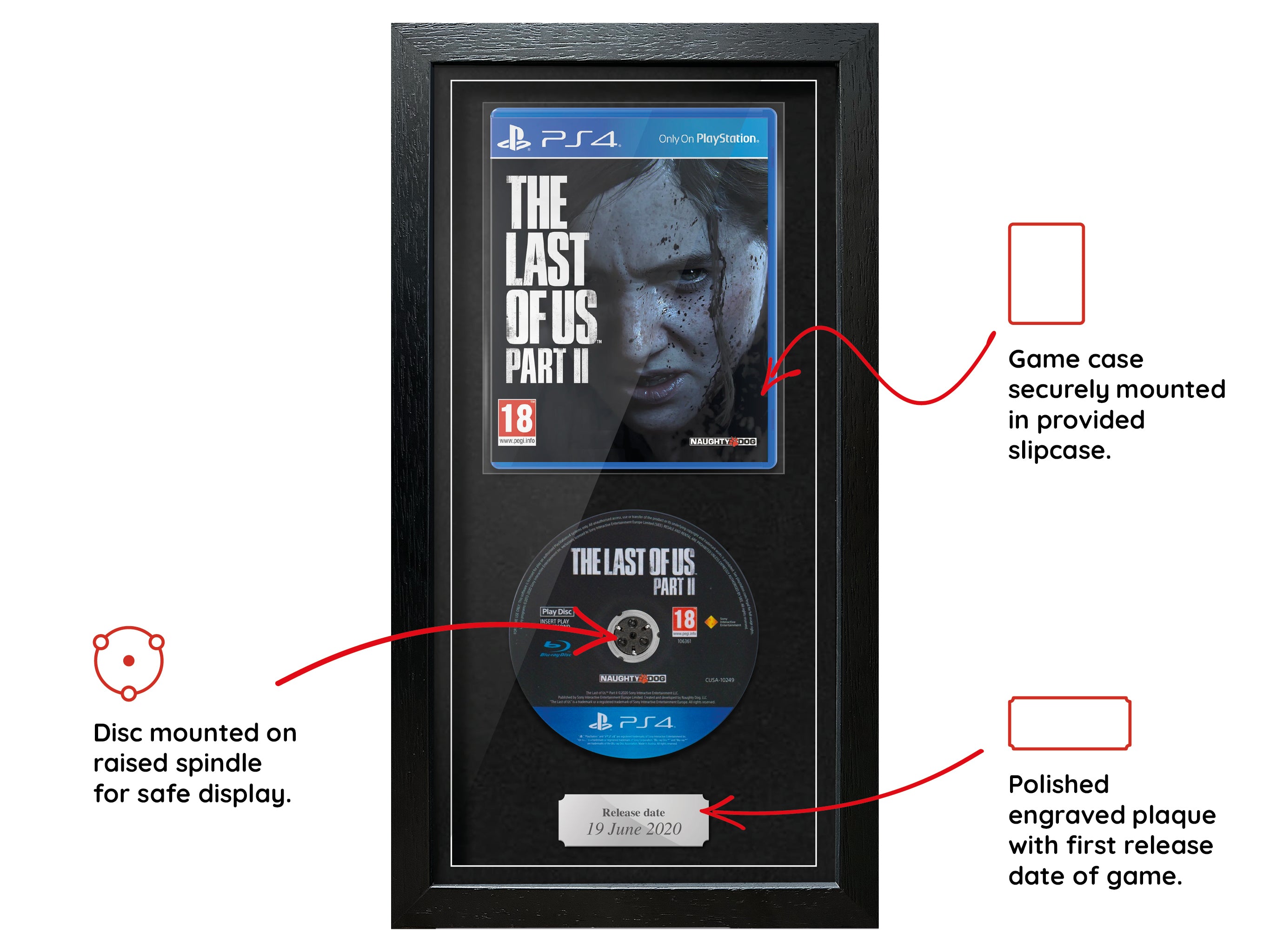 The Last of Us: Part II (PS4) Expo Pro Range Framed Game - Frame-A-Game