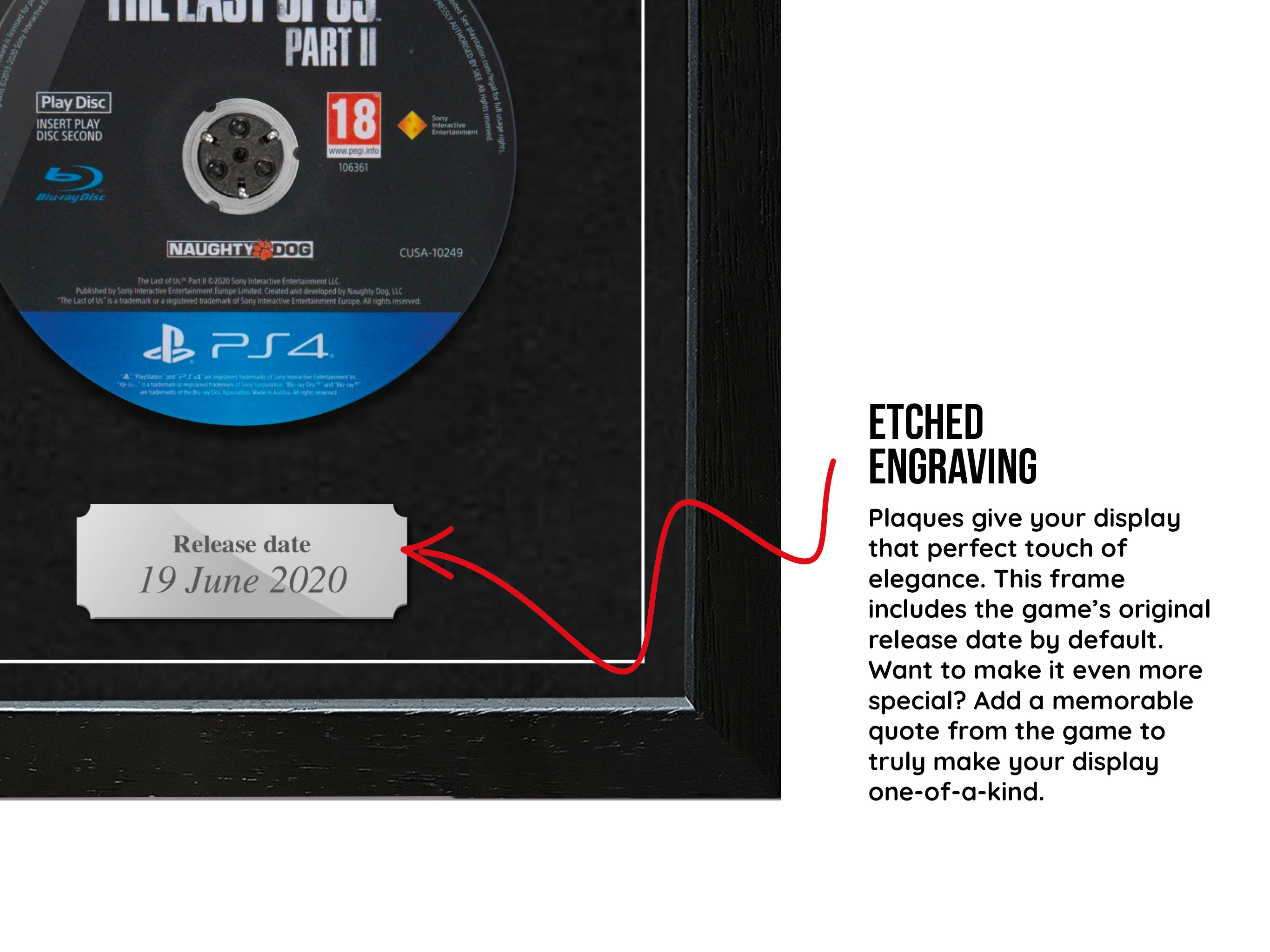 The Last of Us: Part II (PS4) Expo Pro Range Framed Game - Frame-A-Game