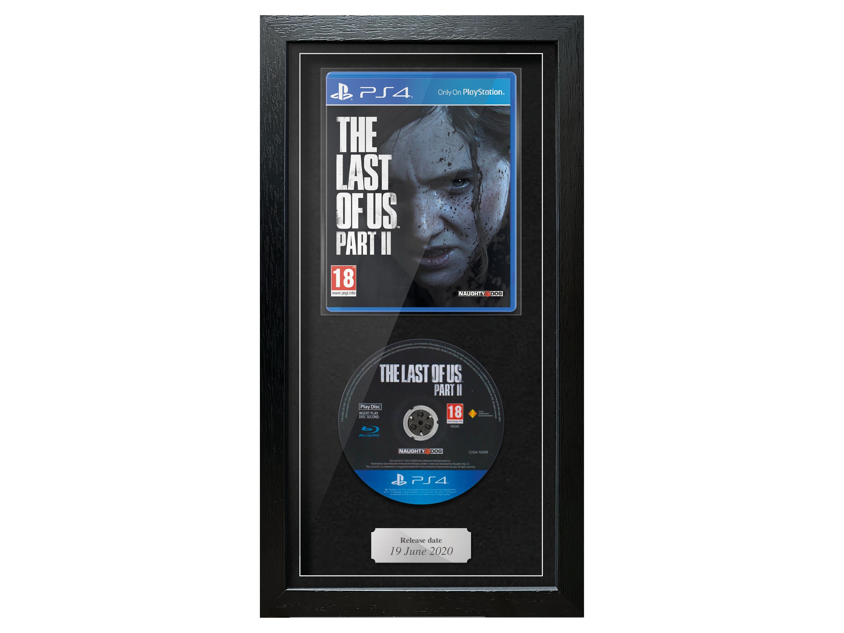 The Last of Us: Part II (PS4) Expo Pro Range Framed Game - Frame-A-Game