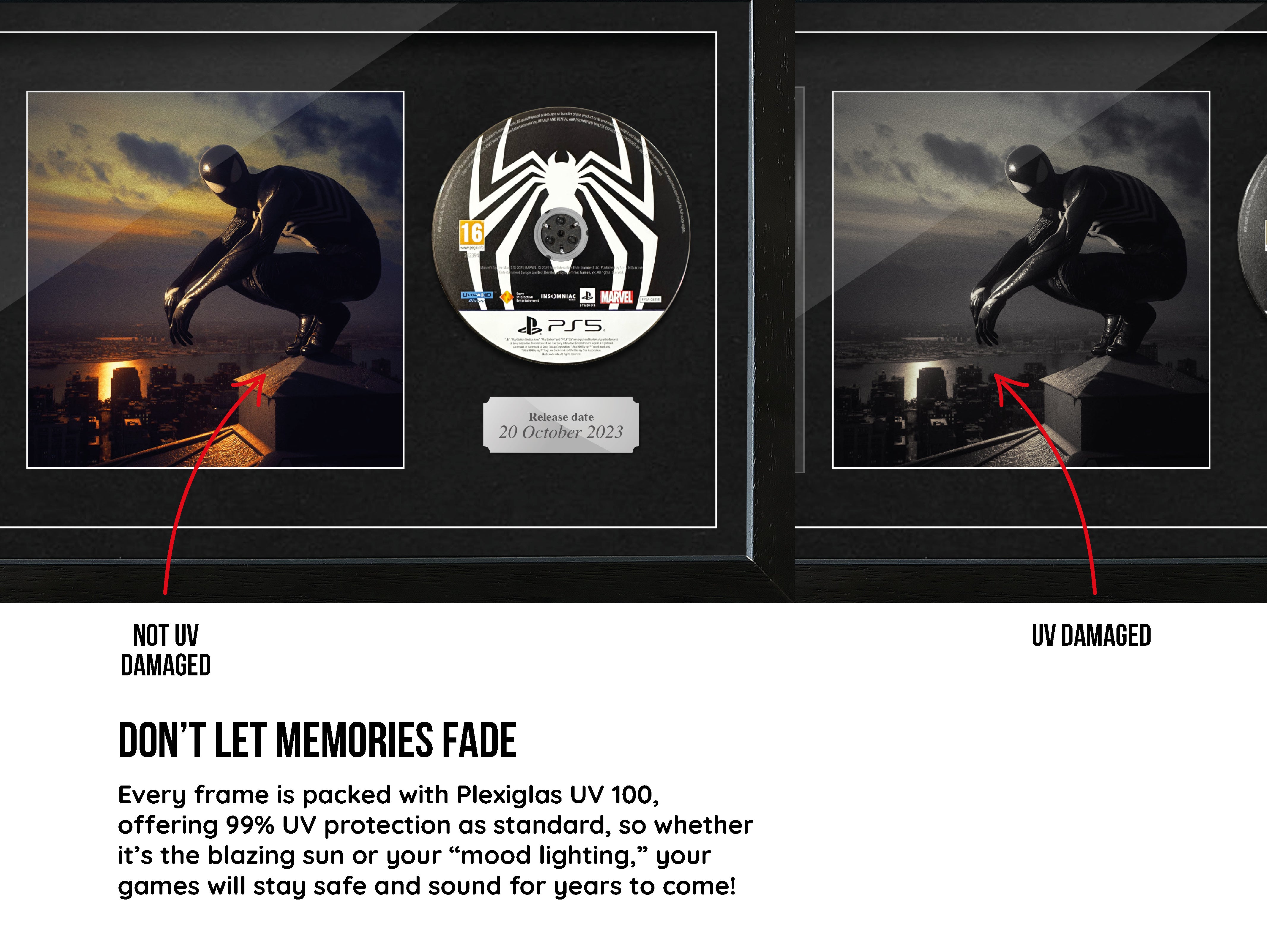 Use Your Own Game (PS5) Virtual Photography Range Frame