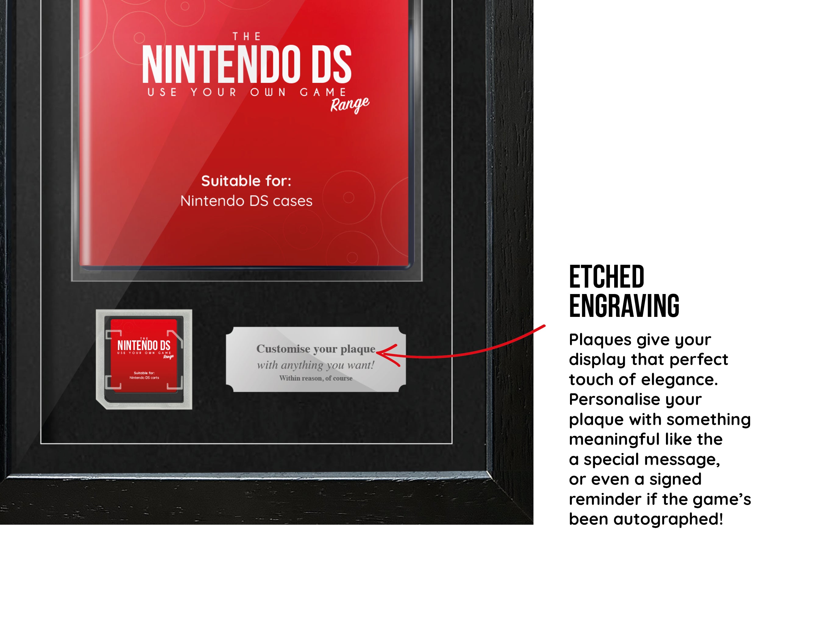 Use Your Own Game (DS) Exhibition Range Frame - Frame-A-Game