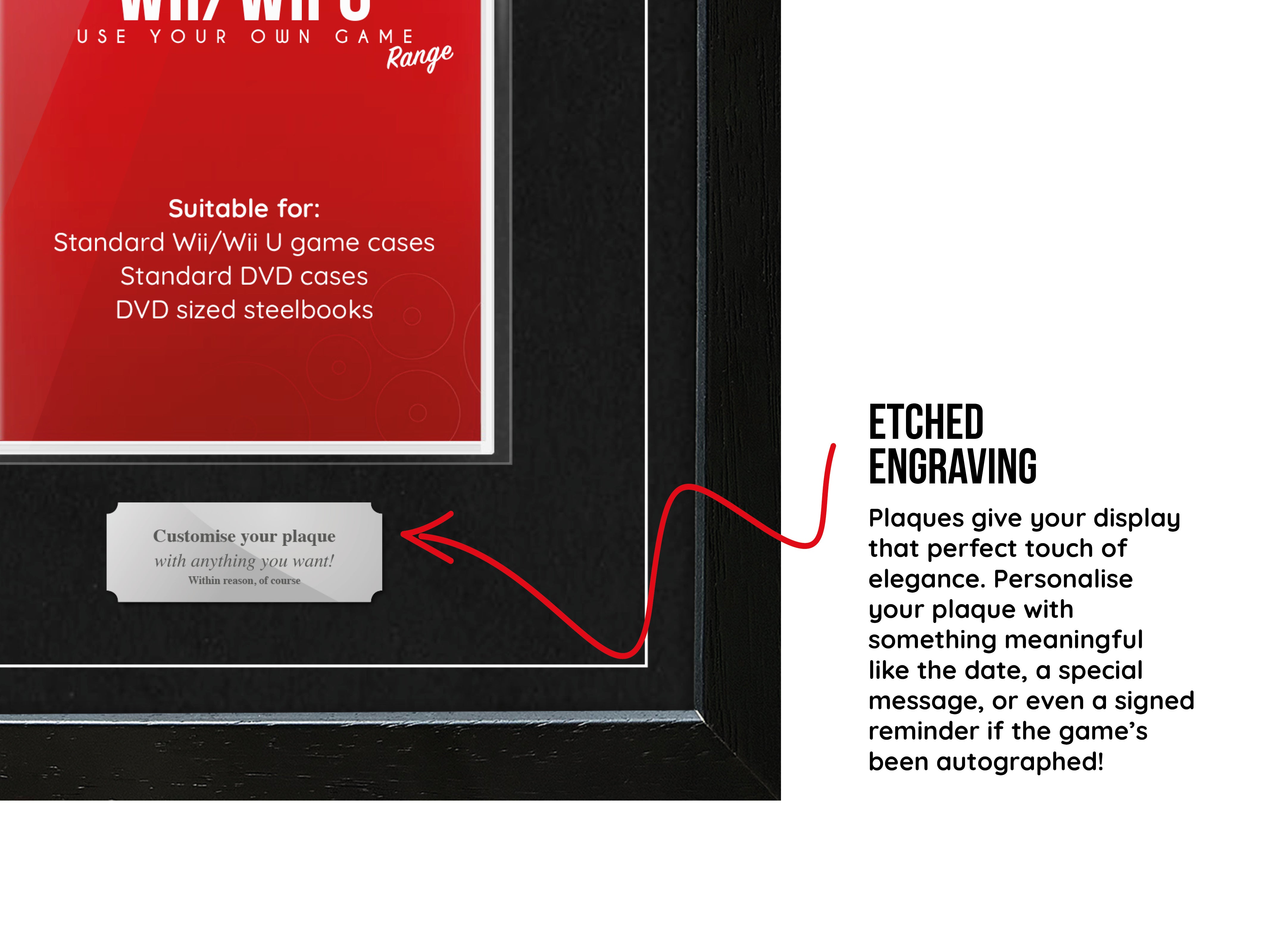 Cadre de tir d'exposition Use Your Own Game (GameCube)