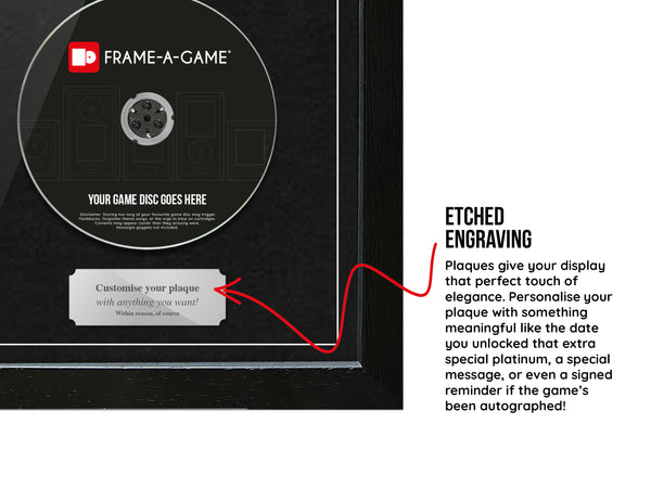 Use Your Own Game (PS2) Expo Pro Range Frame - Frame-A-Game